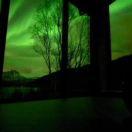 Aurora *